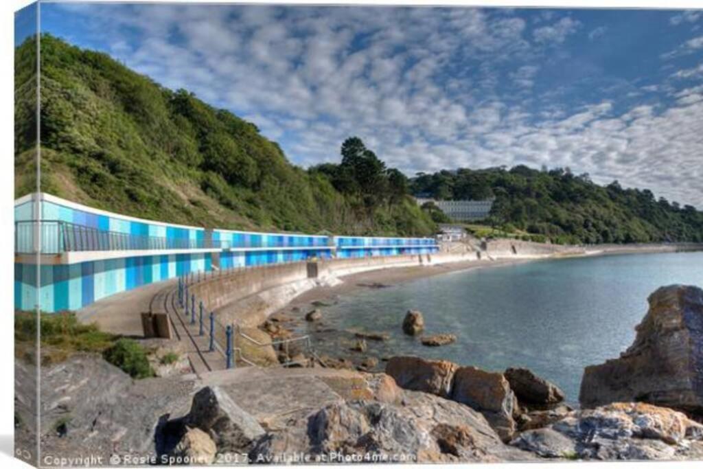 **Sunny And Bright, Thatchers Rock One Bed Beach Front Apartment*** Torquay Εξωτερικό φωτογραφία